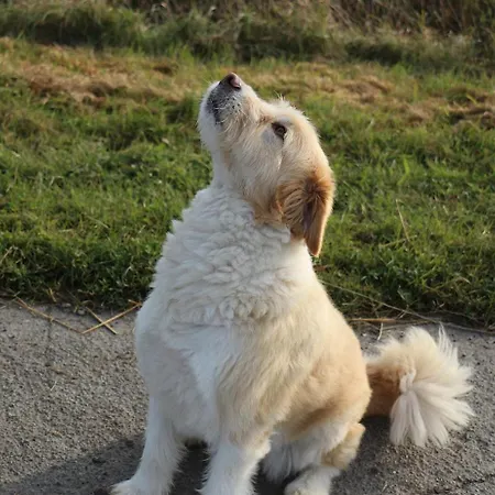 Haus Heversand * Osterhever