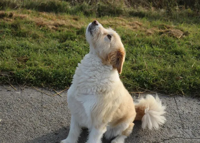 Haus Heversand * Osterhever