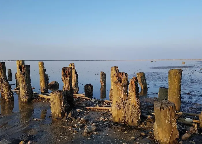 Appartement Haus Heversand *